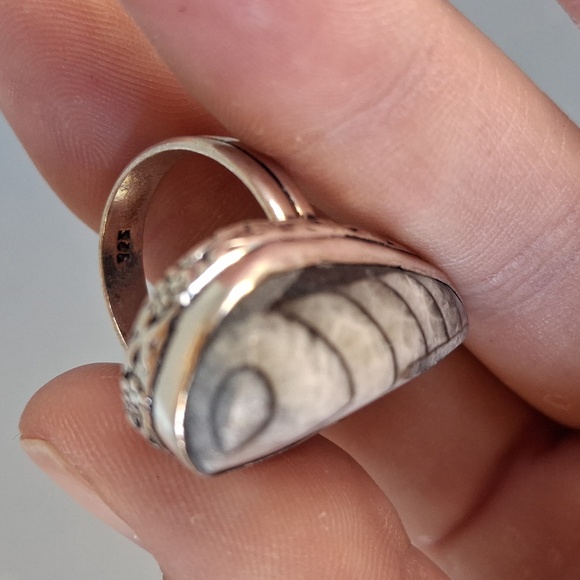 New Orthoceras Fossil 925 Silver Ring. - Picture 6 of 12